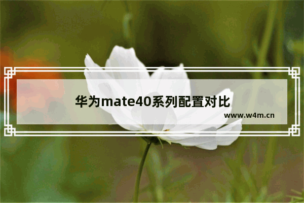 华为mate40系列配置对比