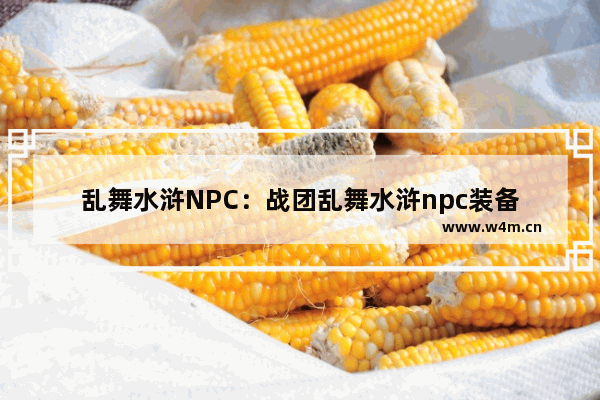 乱舞水浒NPC：战团乱舞水浒npc装备