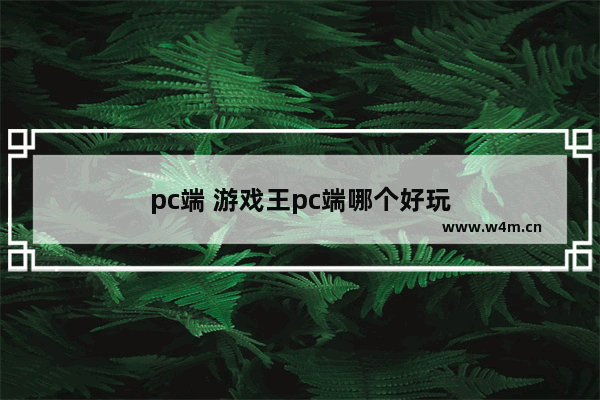 pc端 游戏王pc端哪个好玩