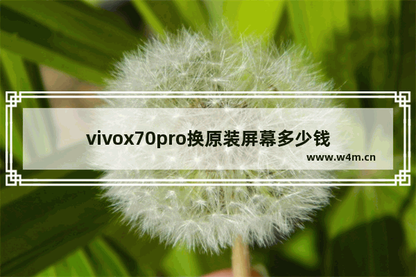 vivox70pro换原装屏幕多少钱