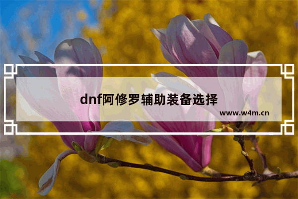 dnf阿修罗辅助装备选择