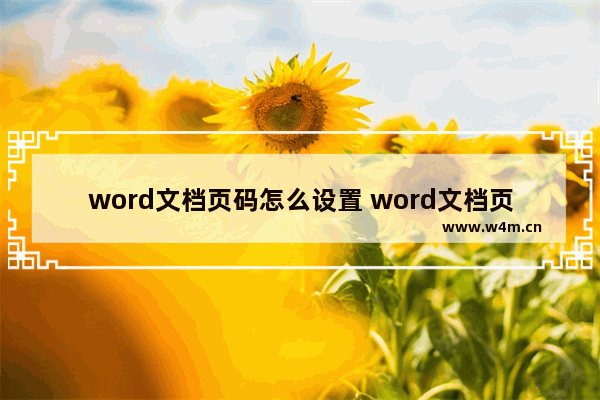 word文档页码怎么设置 word文档页码怎么设置居中