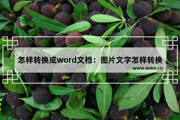 怎样转换成word文档：图片文字怎样转换成word文档