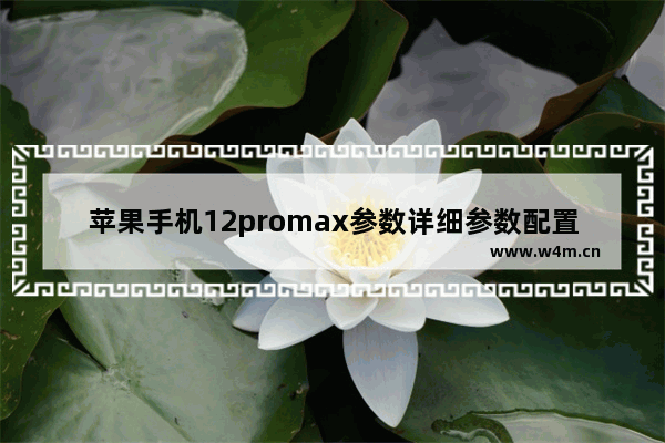 苹果手机12promax参数详细参数配置