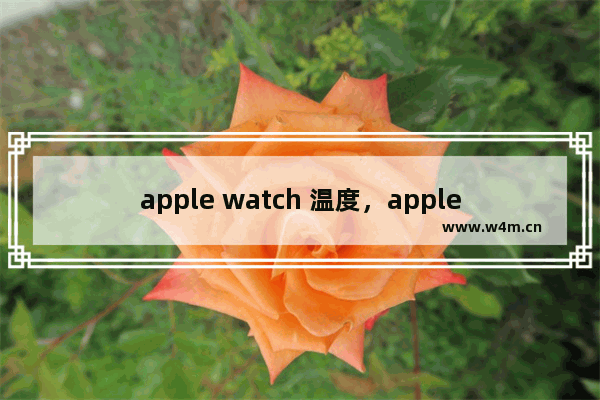 apple watch 温度，apple watch 温度计标志能修么