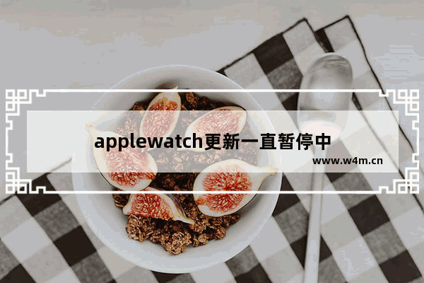 applewatch更新一直暂停中