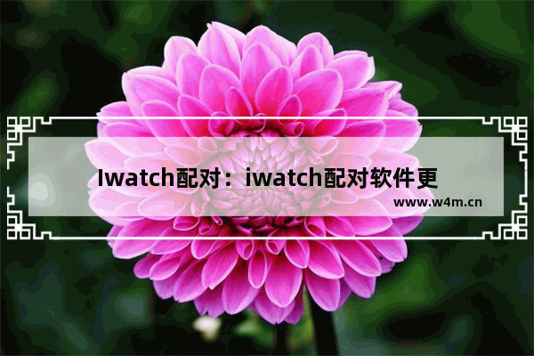 Iwatch配对：iwatch配对软件更新不动