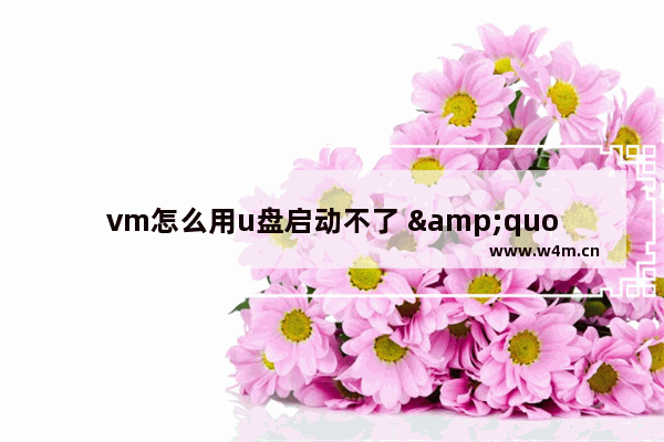 vm怎么用u盘启动不了 "解决VM启动问题：使用U盘无法启动"