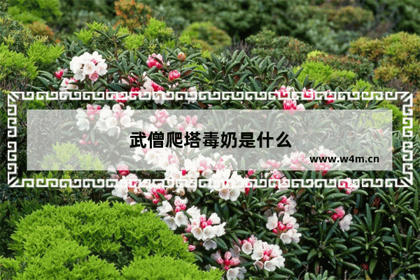 武僧爬塔毒奶是什么