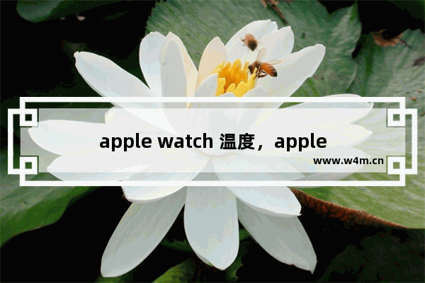 apple watch 温度，apple watch 温度计标志能修么