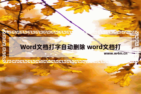 Word文档打字自动删除 word文档打字自动删除后面的字