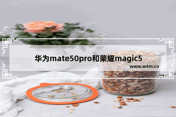 华为mate50pro和荣耀magic50pro