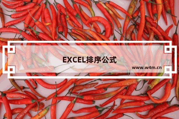 EXCEL排序公式