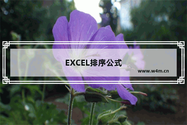 EXCEL排序公式