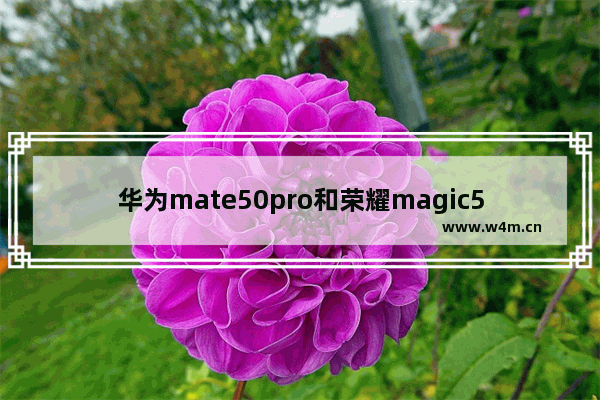 华为mate50pro和荣耀magic50pro