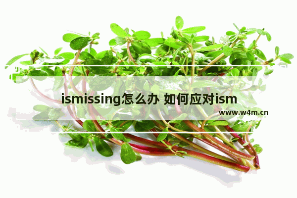 ismissing怎么办 如何应对ismissing问题