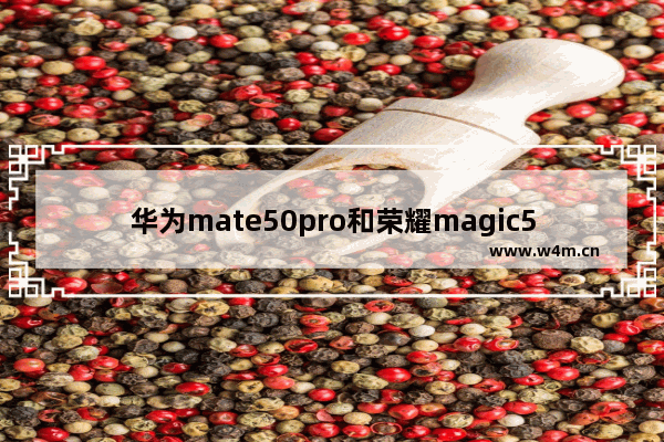 华为mate50pro和荣耀magic50pro