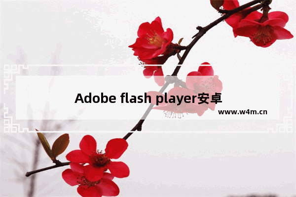 Adobe flash player安卓-adobe flash player安卓插件