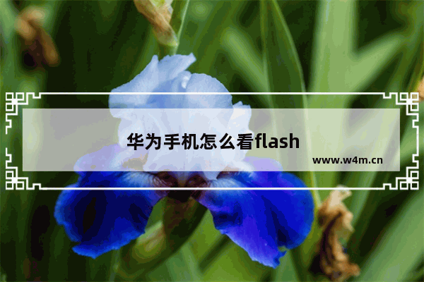 华为手机怎么看flash