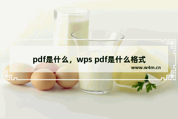 pdf是什么，wps pdf是什么格式