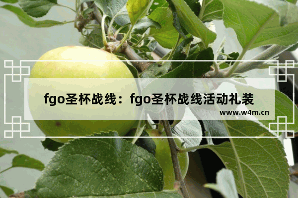 fgo圣杯战线：fgo圣杯战线活动礼装