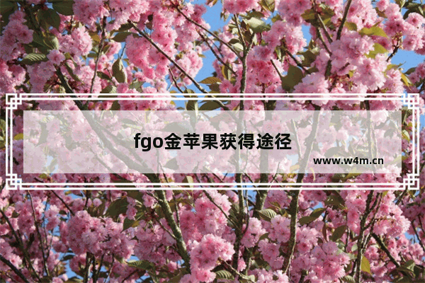 fgo金苹果获得途径