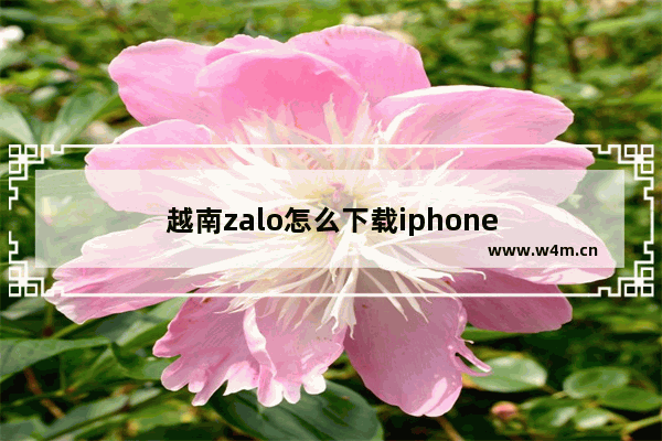 越南zalo怎么下载iphone