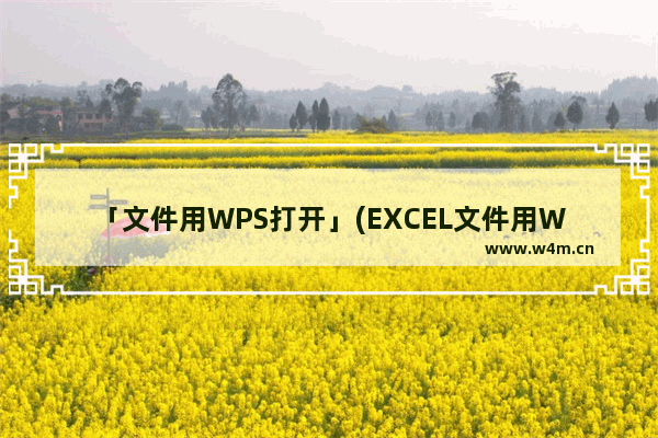 「文件用WPS打开」(EXCEL文件用WPS打开格式会变吗)