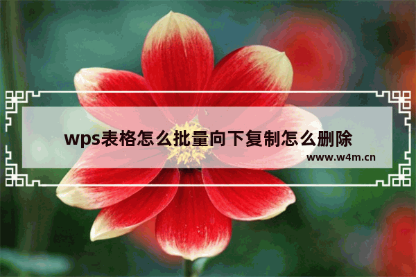 wps表格怎么批量向下复制怎么删除