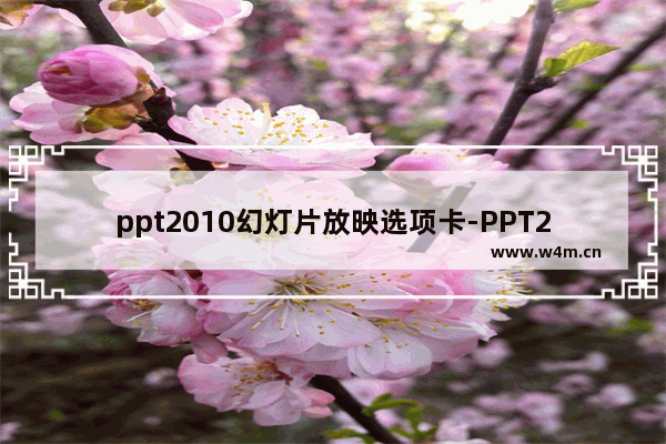 ppt2010幻灯片放映选项卡-PPT2010幻灯片放映选项卡图片