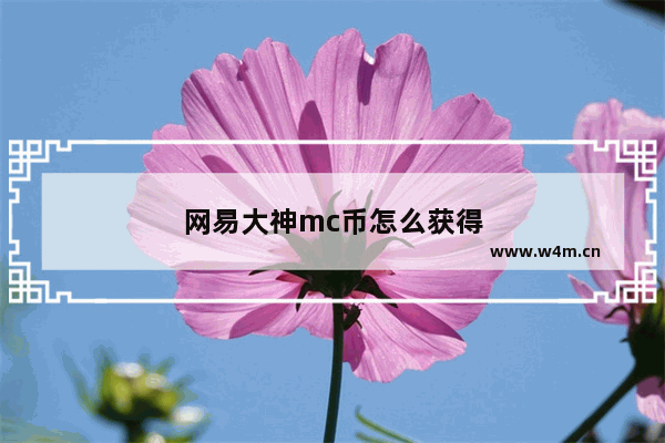 网易大神mc币怎么获得