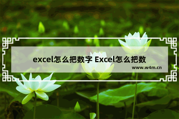 excel怎么把数字 Excel怎么把数字转换成编号