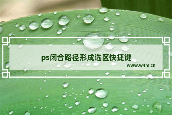 ps闭合路径形成选区快捷键