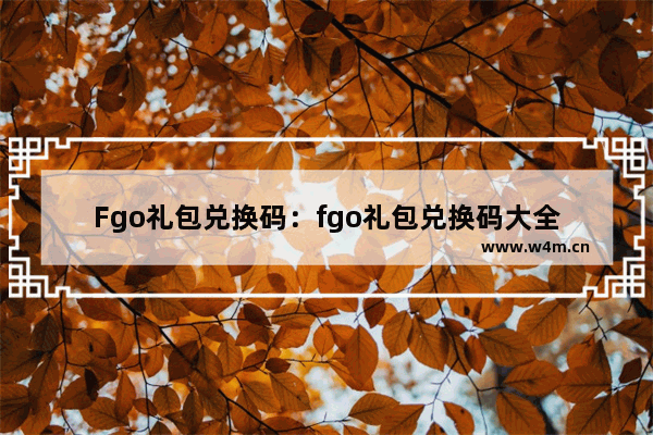 Fgo礼包兑换码：fgo礼包兑换码大全