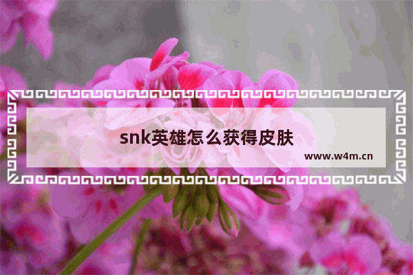 snk英雄怎么获得皮肤