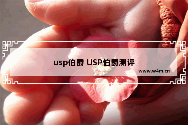 usp伯爵 USP伯爵测评