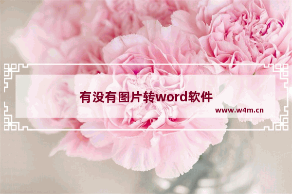 有没有图片转word软件