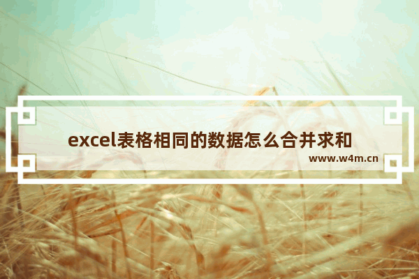 excel表格相同的数据怎么合并求和