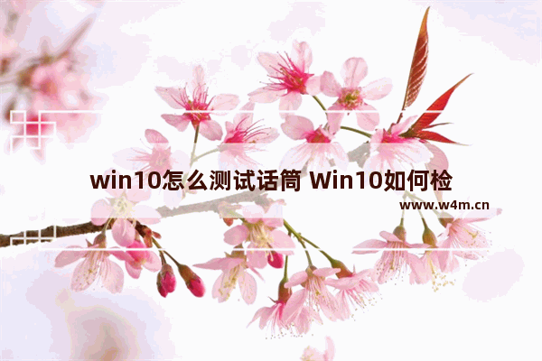 win10怎么测试话筒 Win10如何检测麦克风