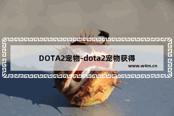 DOTA2宠物-dota2宠物获得