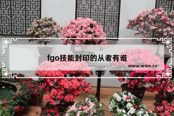 fgo技能封印的从者有谁