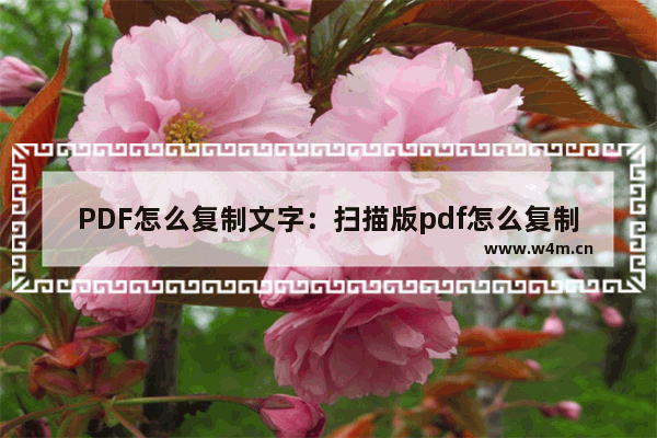 PDF怎么复制文字：扫描版pdf怎么复制文字