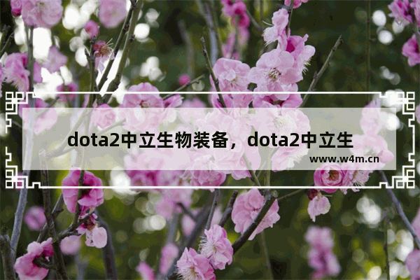 dota2中立生物装备，dota2中立生物装备大全