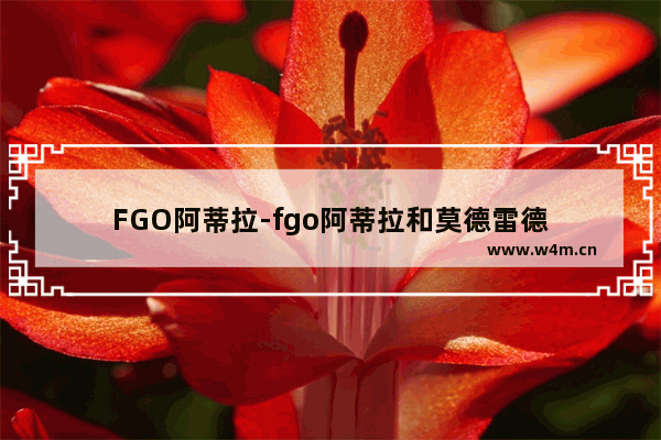 FGO阿蒂拉-fgo阿蒂拉和莫德雷德