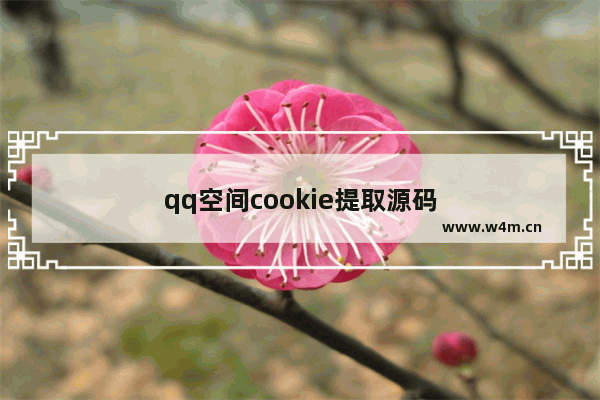 qq空间cookie提取源码