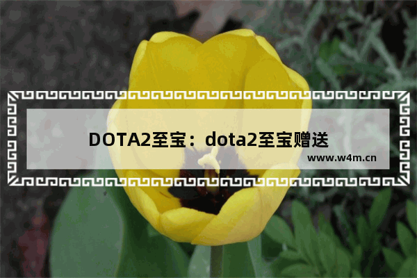 DOTA2至宝：dota2至宝赠送