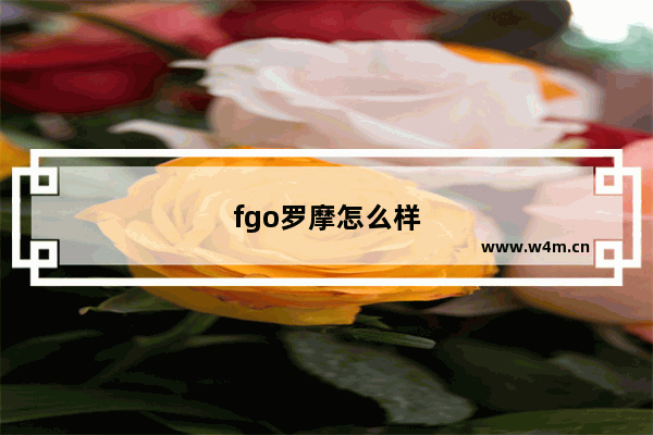 fgo罗摩怎么样