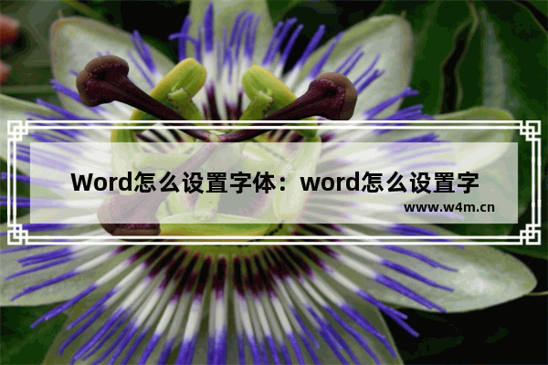 Word怎么设置字体：word怎么设置字体竖排