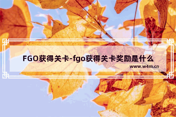 FGO获得关卡-fgo获得关卡奖励是什么