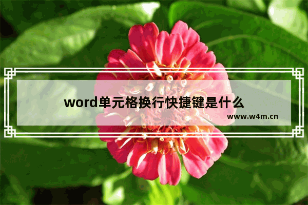 word单元格换行快捷键是什么